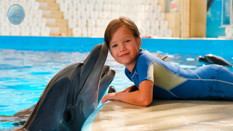 Swimming with dolphins in Belek