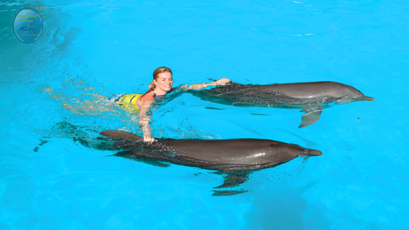 Swimming with dolphins in Belek